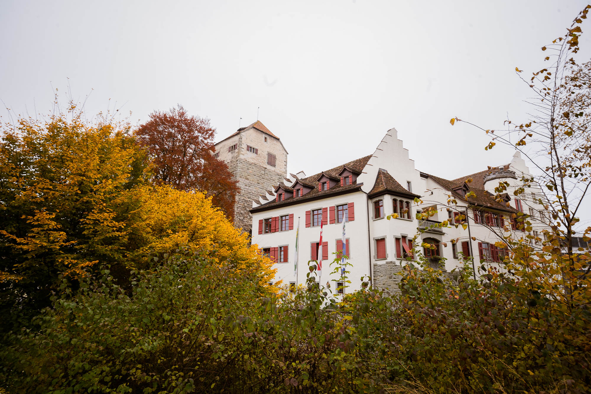 Export x3 1DX29956 Hochzeit 2020 Monika & Sharru